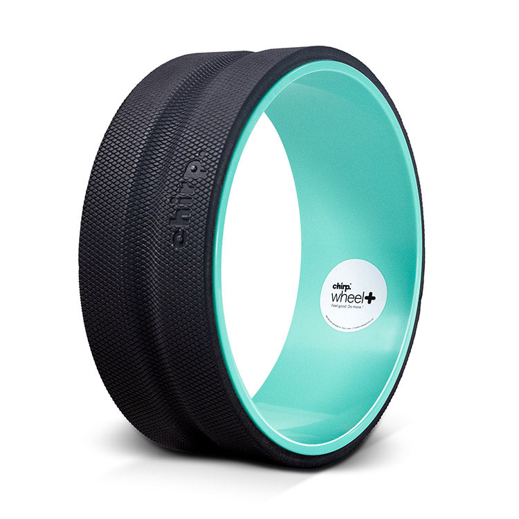 Chirp Wheel+ 12" Gentle