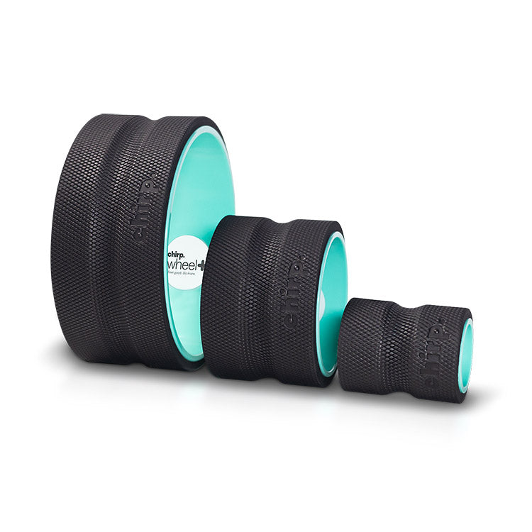 Chirp Wheel+ 3-Pack