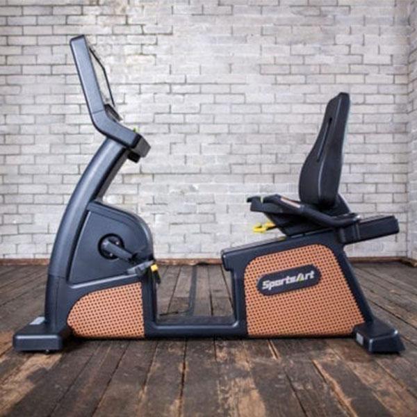 SportsArt C576R Status Eco-Natural Recumbent Bike